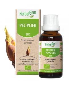 Peuplier (Populus Nigra) bourgeon BIO, 15 ml